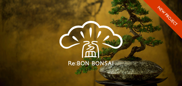 Re:BON BONSAI