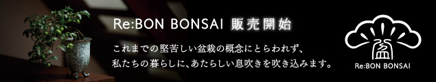 Re:BON BONSAI販売開始 これまでの堅苦しい盆栽の概念にとらわれず、私たちの暮らしに、あたらしい息吹きを吹き込みます。